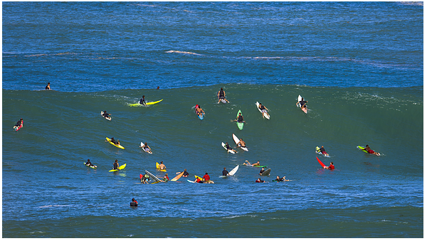 Is Surfing a Crime against Nature?