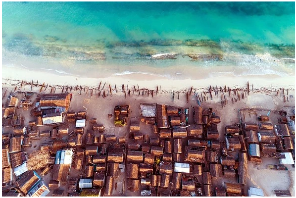 Incentives Needed to Fix Oceans by 2050