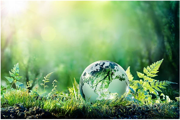 Green New Deal can Stimulate Economic Recovery and Create Jobs