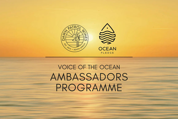 Sentinel Ocean Alliance Round Two