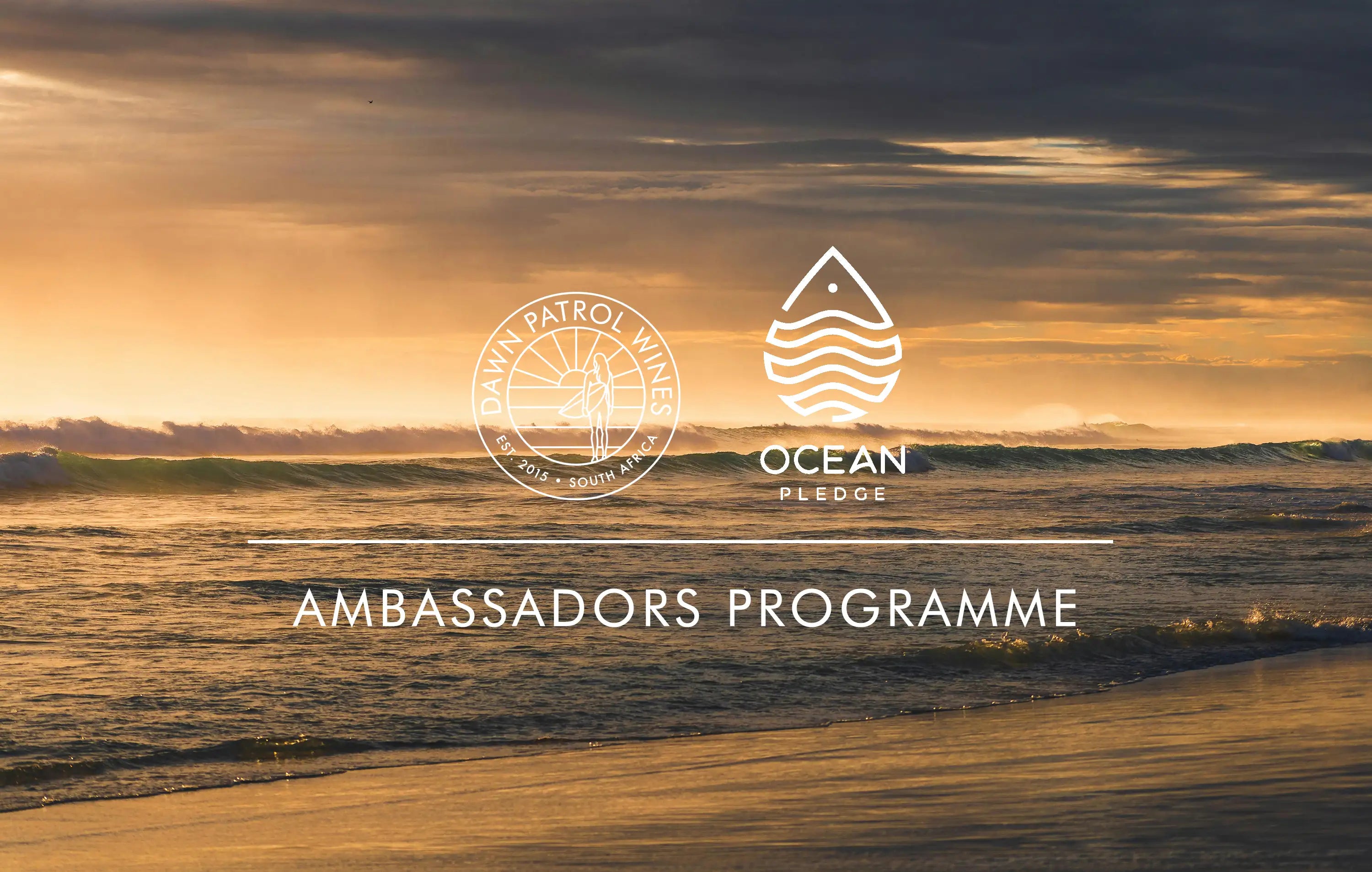Ocean Pledge Pilot Programme - Fishhoek High