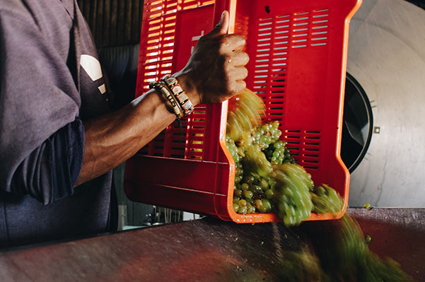 Hands that make it Happen