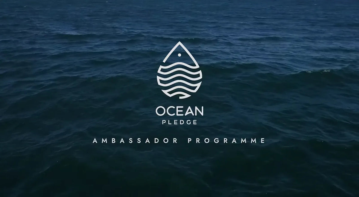 Ocean Pledge Pilot Programme - Fishhoek High