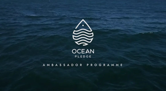 Ocean Pledge Pilot Programme - Fishhoek High